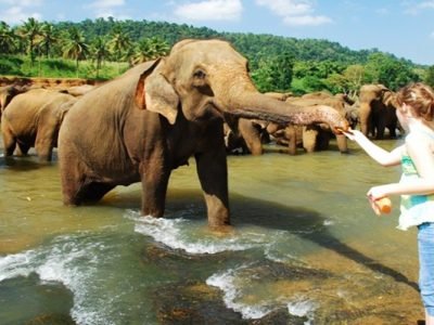 5790373_2013-05-05thushanc34afb4db60bc9c