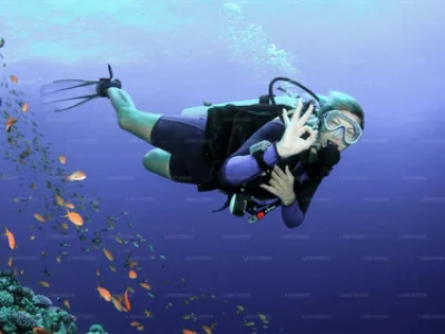 LK66165600-10-E_1a595d08-4df5-46fd-85e0-bf6a12133881